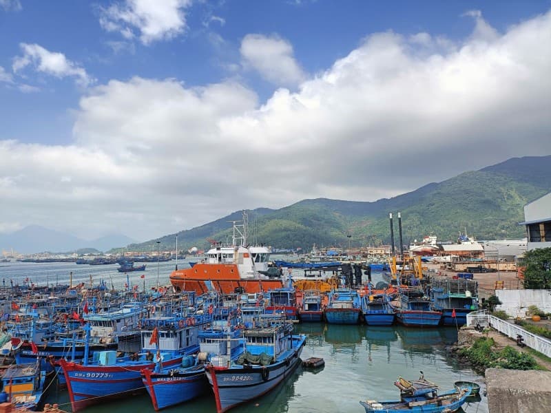 Đất khu vực Sơn Trà 10000