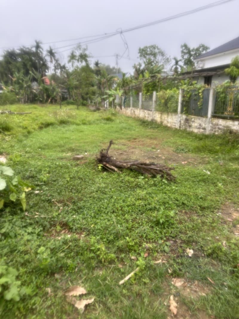 Đất 123m² mặt tiền 5.8m Trước Đông Hoà Vang, Hoà Vang — gần chợ, gần trường học, tiềm năng kinh doanh, mặt tiền đường lớn