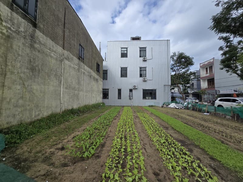 Đất 82.5m² mặt tiền 5m Đinh Đạt, Sơn Trà — gần biển, gần chợ, gần trường học, gần bệnh viện